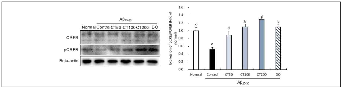 Expression of pCREB/CREB in the combination in 5:5 ratio of Taraxacum coreanum and Carthamus tinctorius L. seed-treated mouse brain