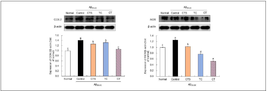 Effect of the combination of C. tinctorius L. seed and T. coreanum on iNOS and COX-2 protein expression in Aβ25-35-treated SHSY5Y cell