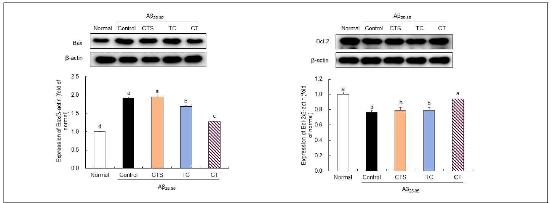 Effect of the combination of C. tinctorius L. seed and T. coreanum on Bax and Bcl-2 protein expression in Aβ25-35-treated SHSY5Y cell