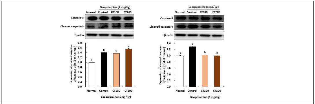 Effect of combination of CT on caspase-3 and caspase-9 expressions