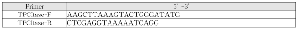 pET28a-TPCItase 증폭용 primer sequences