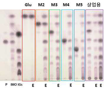 TLC analysis of transglycosylation of 1% (w/v) glucose, maltose, maltotriose, maltotetraose, maltopentaose and 1% or 5% (w/v) commercial maltooligosaccharides by TPLIMO