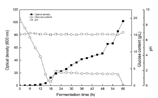 Fed-batch fermentation (2.5 L) profiles of TtCITase-N from Thermoanaerobacter thermocopriae
