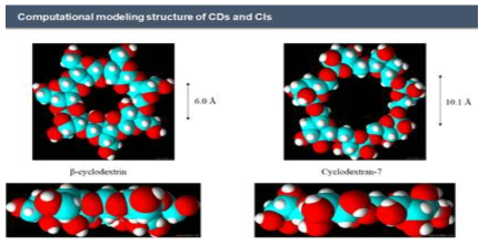 Computational modeling structure of CD and CI
