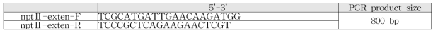 nptⅡ gene 증폭용 primer sequences