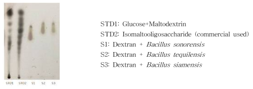 TLC를 통한 dextan 중간 분해산물 분석