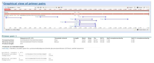 CITase gene 증폭용 specific PCR primer design