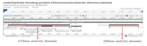 Thermoanaerobacter thermocopriae 유래의 CITase domain