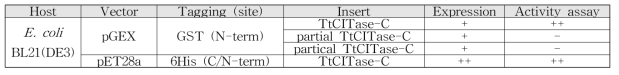 발현 및 활성 비교 (TtCITase-C partial cloning)
