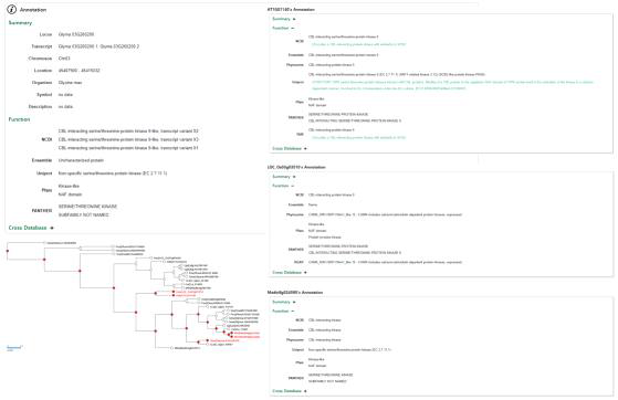 Translational annotation 분석 예시