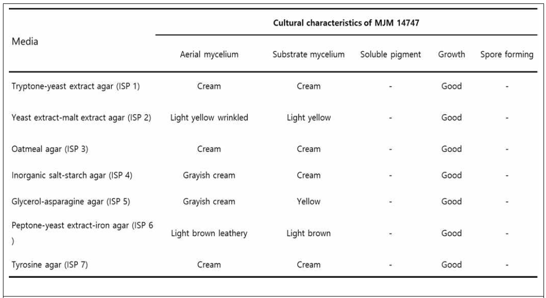 International Streptomyces Project Medium을 이용한 MJM 14747의 생리학적, 형태학적 특성