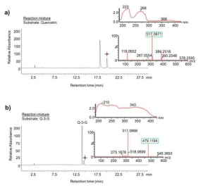 HPLC-PDA 및 high-resolution QTOF-ESI/MS 분석. a) Quercetin 반응 결과, b) quercetin 3-O-glucoside (Q-3-G) 반응 결과