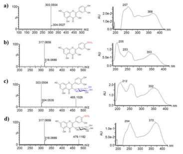 QTOF-ESI/MS 분석. a) 표준 Quercetin; b) O-methylquercetin; c) quercetin 3-O-β-D-glucoside; d) tamarixetin 3-O-β-D-glucoside