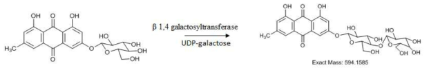 Emodin lactoside의 합성과정