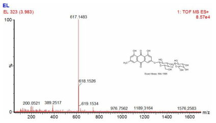 Emodin-3-O-lactoside를 HPLC-ESI-QTOF-MS에 확인