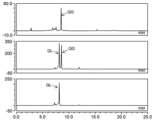 HPLC of reaction of quercetin 3-O glucoside with galactosyltransferase for the production of quercetin-3-O-lactoside