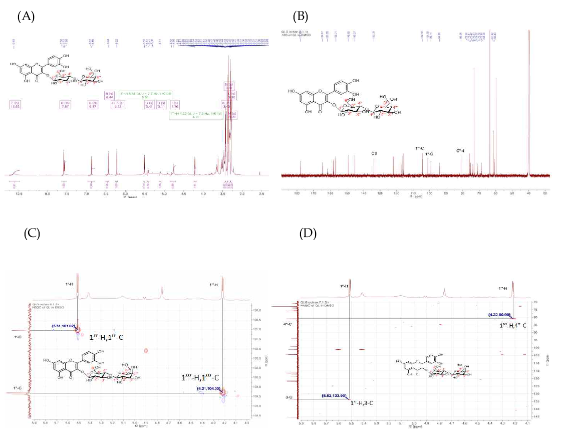 Quercetin-3-O-lactoside의 NMR 분석 (A) 1H-NMR. (B) 13C-NMR, (C) HMQC (D) HMBC