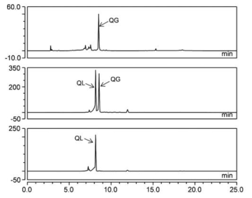 HPLC of reaction of quercetin 3-O glucoside with galactosyltransferase for the production of quercetin-3-O-lactoside