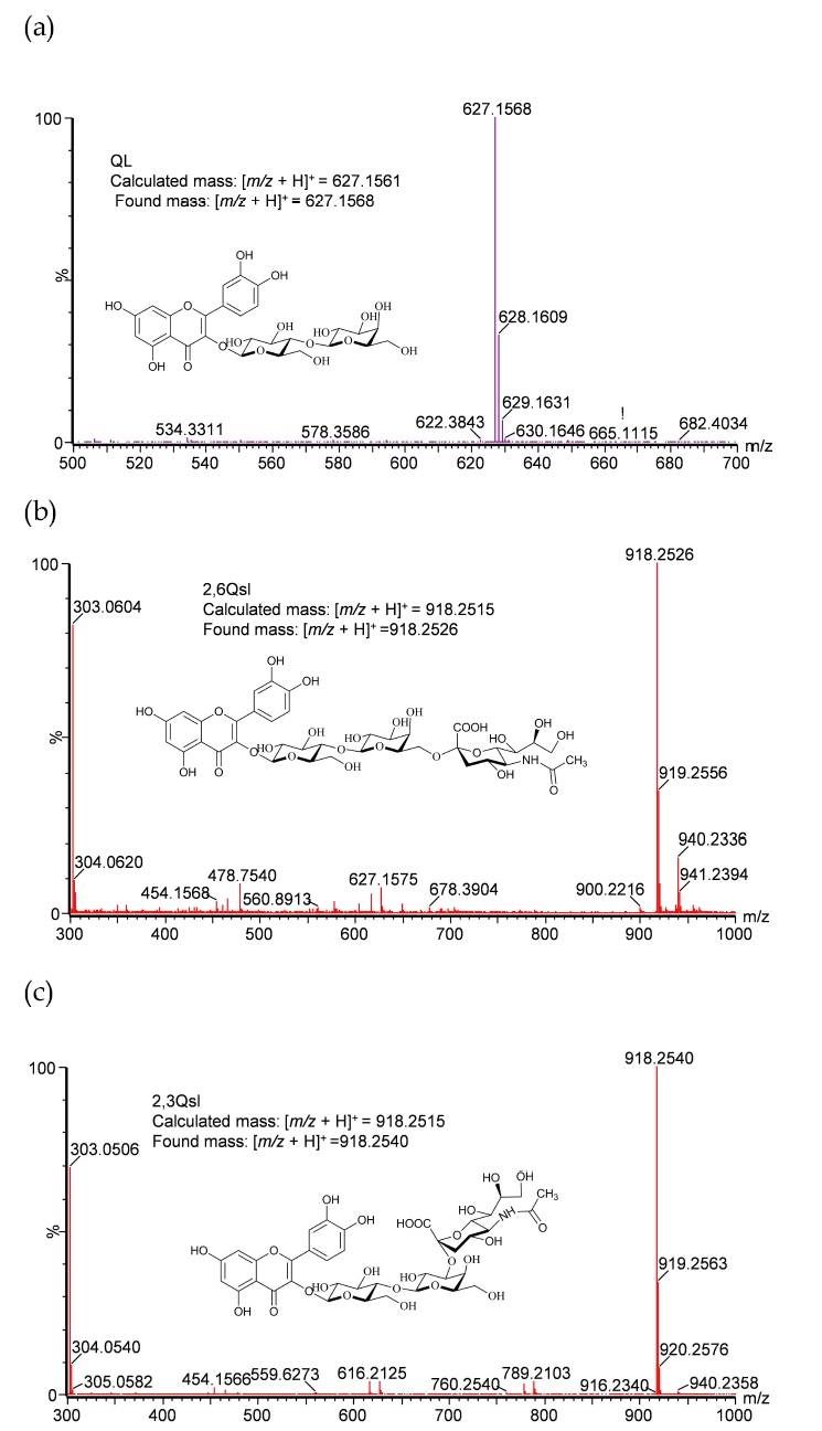 (a) Quercetin-3-O-lactoside, (b) quercetin 3-O-(2,3)-siallylactose (2,3Qsl), (c) quercetin 3-O-(2,6)-siallylactose (2,6Qsl)의 high-resolution quadruple time-of-flight electrospray ionization-mass spectrometry (HR-QTOF ESI/MS) 분석