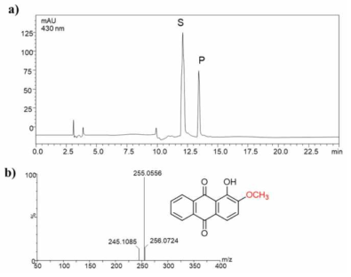 HPLC-PDA chromatogram and HQ-QTOF ESI/MS analyses of methylated alizarin showing S (alizarin) substrate and P (alizarin-3-O-methoxide) product peaks