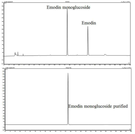 HPLC에 의해 분석된 합성된 Emodin glucoside 및 정제된 Emodin glucoside
