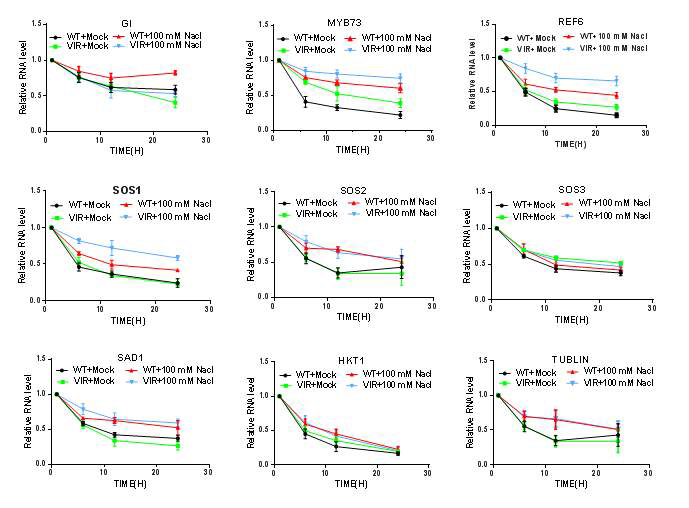 Met-RNA-seq에서 확인된 m6A-modified target RNA들의 stability 변화