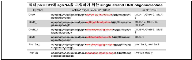 sgRNA 도입을 위한 단일가닥 올리고 뉴클레오타이드 염기서열