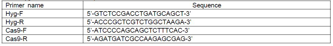 HygR 및 Cas9 유전자의 primer 염기서열 정보