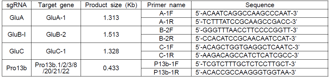글루텔린 T7E1 assay를 위한 표적유전자 Primer 염기서열 정보