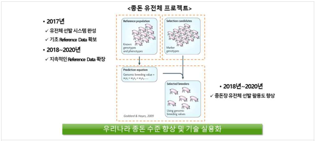 한국 종돈 분자육종 연구 실용화 단계별 수행 내역