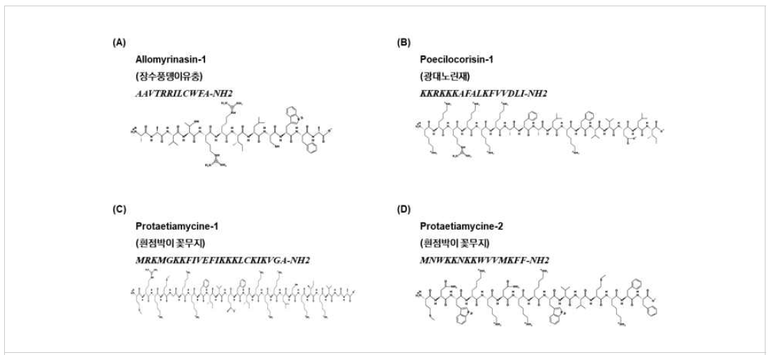 Peptide structure (A) Allomyrinasin-1, (B) Poecilocorisin-1, (C) Protaetiamycine-1, (D) Protaetiamycine-2