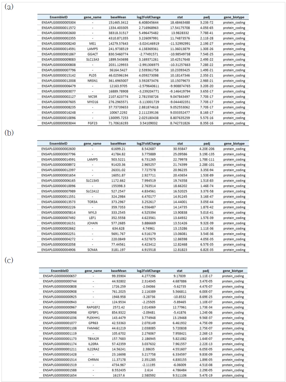 확인된 DEGs 정보 (p-value 기준 상위 20개의 유전자들) (a)DAY1 (b)DAY2 (c)DAY3