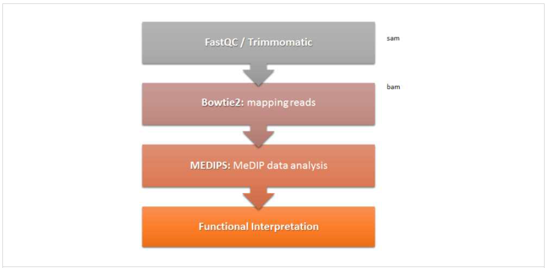 후성유전체 분석을 위한 MBD-sequencing 데이터 분석 방법 및 사용 프로그램