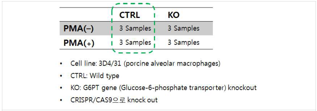 돼지 폐 대식세포 3D4/31 Cell line 샘플링 조건 및 결과
