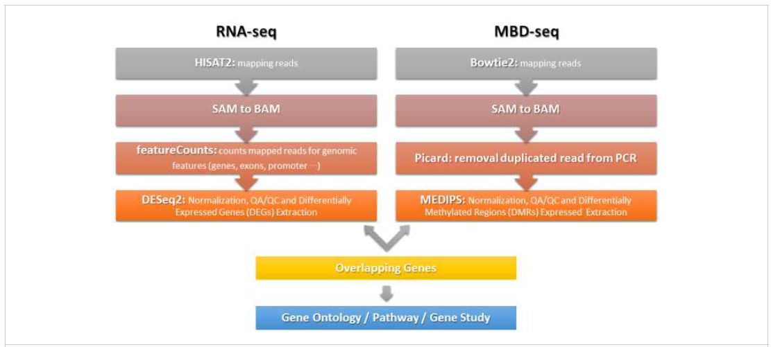 후성유전체 및 전사체 분석을 위한 RNA-sequencing 및 MBD-sequencing 데이터 분석 방법 및 사용 프로그램