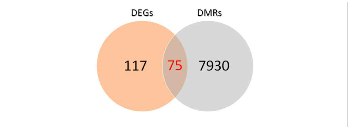 DEGs와 DMRs 간의 겹치는 유전자 확인 결과