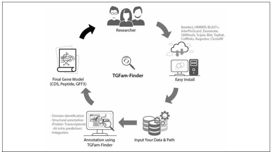 TGFam-Finder의 사용자 친화적이고 자동화된 구조적 유전자 분석과정