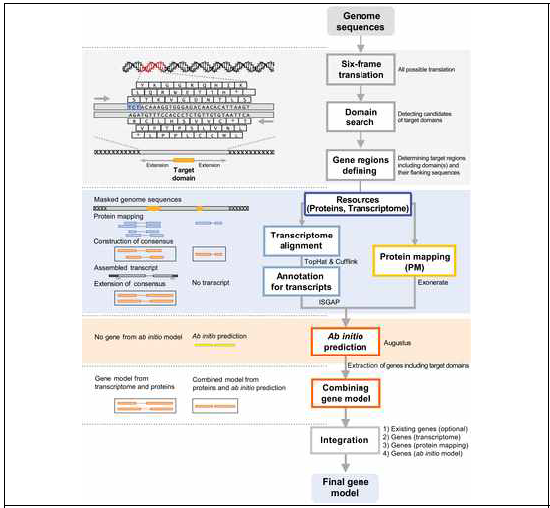 새로운 유전자 예측기법의 annotation 과정 모식도