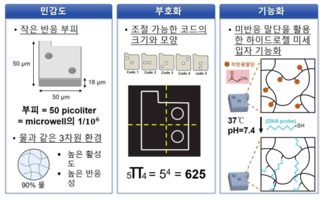 부호화된 하이드로젤 미세입자