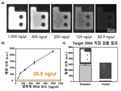 a) 실제 작물(한국인삼)의 target DNA를 직접 검출한 입자 사진 b) 실제 작물의 target DNA 검출 민감도 c) 추출 공정 타당성 검증