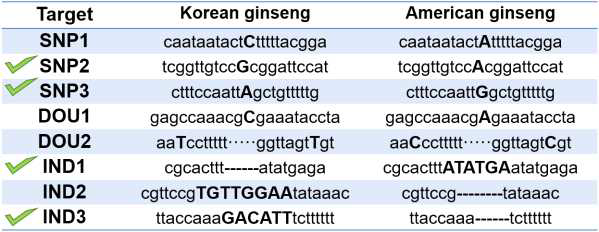 양태진교수님 연구실로부터 제공받은 인삼 작물의 엽록체 DNA 내에 존재하는 변이 서열