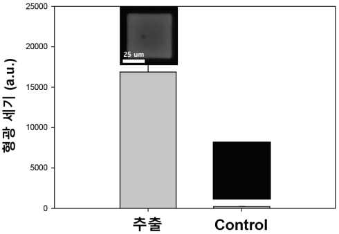 작물 genomic DNA 내 SNP 검출 결과