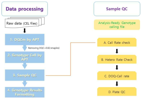 SNP chip 분석 과정에 대한 workflow