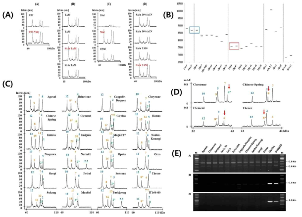 MALDI-TOF-MS 최적화 (A) 표준품종을 이용 각 서브유닛을 분자량으로 결정 (B), (C), 비슷한 분자량을 가진 서브유닛들은 RP-HPLC로 분리 (D), 빵 품질에 좋은 1Bx7OE의 구분