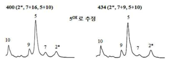 빵 가공적성에 좋은 HMW-GS 1Bx5OE 계통 탐색