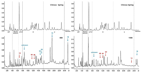 알파 글리아딘 결손 추정 계통의 RP-HPLC 프로파일링 결과