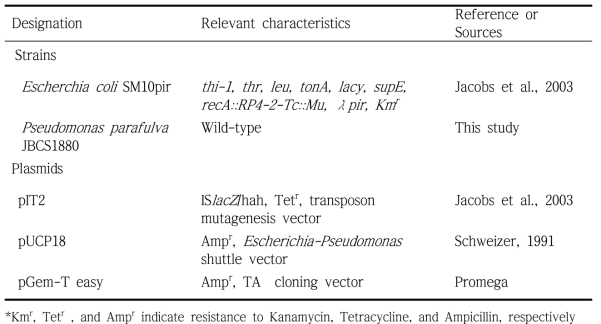 Strains and plasmids used in this study