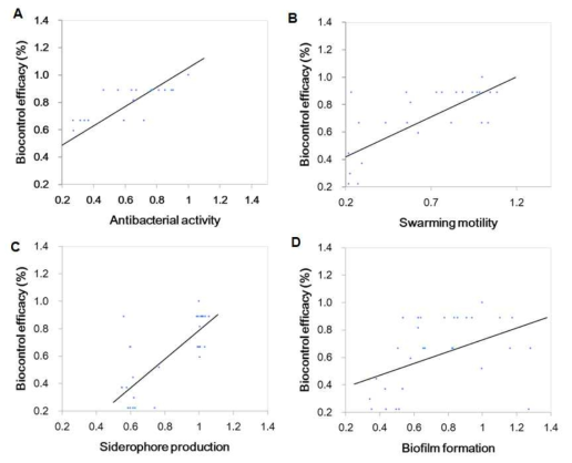 Correlation of antibacterial activity and other phenotypic characteristics on the overall biocontrol activity of P. parafulva JBCS1880. Results analysis showed a strong positive correlation between (A) antibacterial activity, (B) siderophore production, (C) swarming motility and biocontrol efficacy. A positive but weak correlation was observed between (D) biofilm formation and biocontrol efficacy