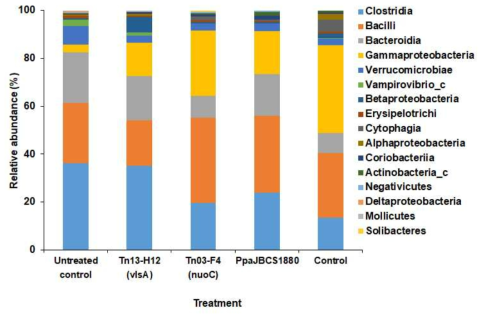 Relative abundance of major bacterial classes in the phyllospheres of control and treated soybean plants as compared to untreated control. Bacterial community in phyllosphere of wild type (PpaJBCS1880) were compared with treatment of mutant Tn13-H12 (△vlsA) and Tn03-F4 (△nuoC). All the plants were challenged with Xanthomonas axonopodis pv. glycines (control)