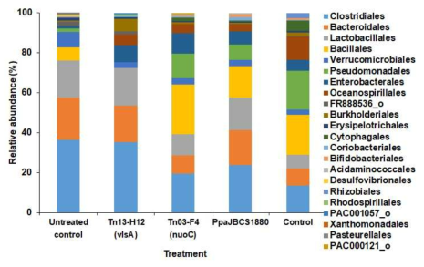 Relative abundance of major bacterial orders in the phyllospheres of control and treated soybean plants. Bacterial orders were compared between leaves with different treatments of wild type (PpaJBCS1880), mutant Tn13-H12 (△vlsA) and Tn03-F4 (△nuoC), and challenged with Xanthomonas axonopodis pv. glycines (control)